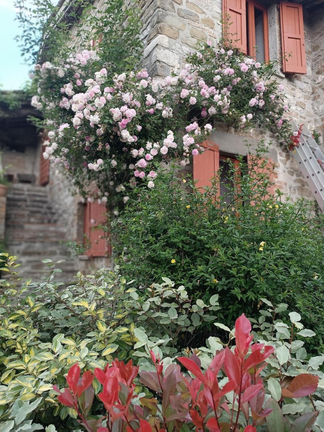 Pilgrim Rooms Gubbio Esterno foto